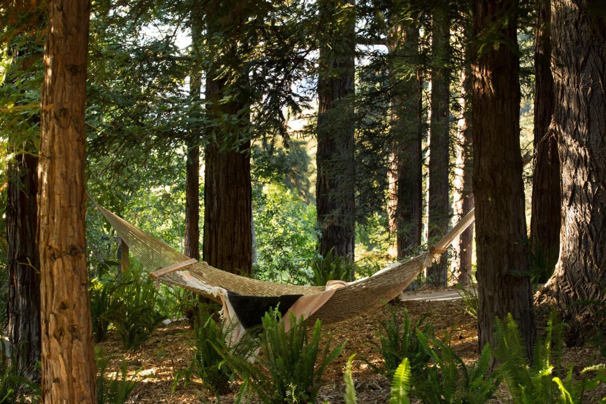 Alila Ventana Big Sur - Inclusive Resort (Adults Only) Exteriér fotografie